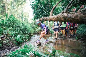 BIB: 
                            <button type="button" onclick="openModal(25514615)" class="btn btn-primary btn-sm float-right btn-popup" data-toggle="modal" data-target=".modal-high-quality">
                        <i class="fas fa-shopping-cart"></i> Add to Cart
                    </button>
                                            <button type="button" onclick="isThisMe(25514615, true)" class="btn btn-success btn-sm float-right btn-popup btn-isme hidden" data-toggle="tooltip" data-placement="bottom" title="นี่คือรูปของคุณใช่ไหม คลิกที่นี่เพื่อเอาเข้าอัลบั้ม">
                        <i class="fas fa-plus"></i> Add to album
                    </button>
                    <button type="button" onclick="isThisMe(25514615, false)" class="btn btn-warning btn-sm float-right btn-popup btn-isnotme hidden">
                        <i class="fas fa-ban"></i> Remove from album
                    </button>